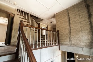 The Ogilvie widow's abandoned mansion