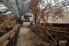Le zoo abandonné