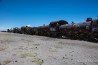 The train cemetery in Uyuni, Bolivia